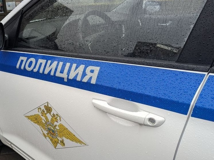 В Петербурге пойман творческий нелегал: он разрисовал ДТЮ