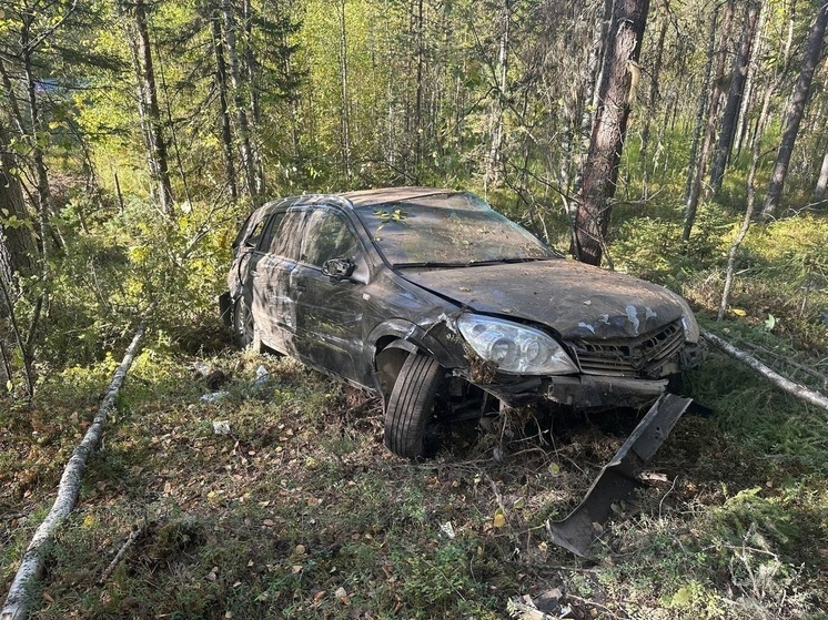 В Холмогорском округе произошло ДТП со съездом в кювет