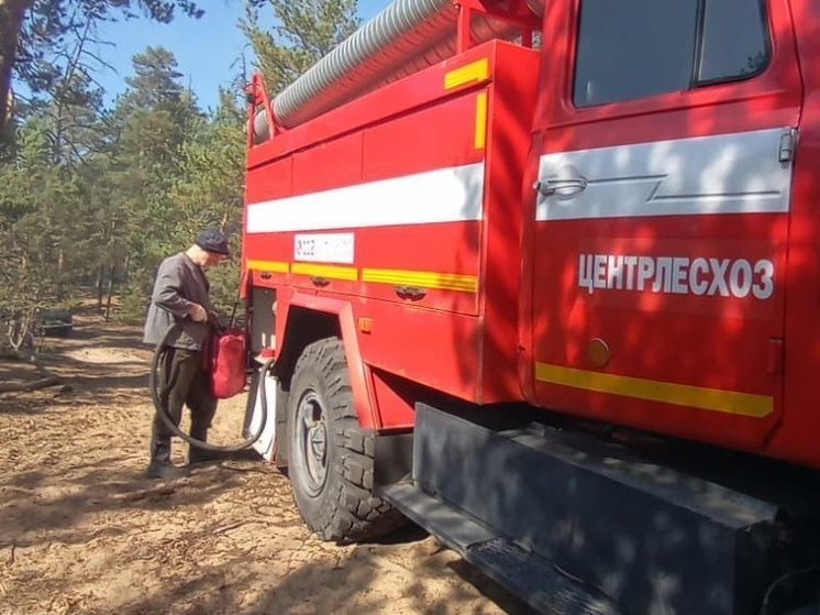 Подозреваемые установлены: торфяной пожар вспыхнул в округе Люберцы