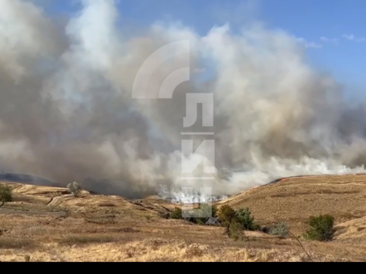 Пункт пропуска в Изварино приостановил работу