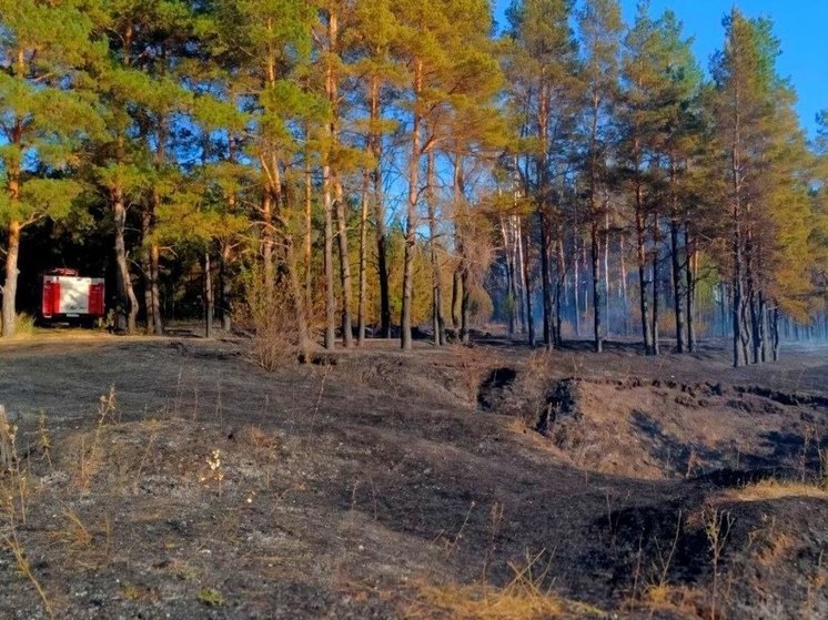 Подходящий к жилым домам огонь потушили в Липецкой области