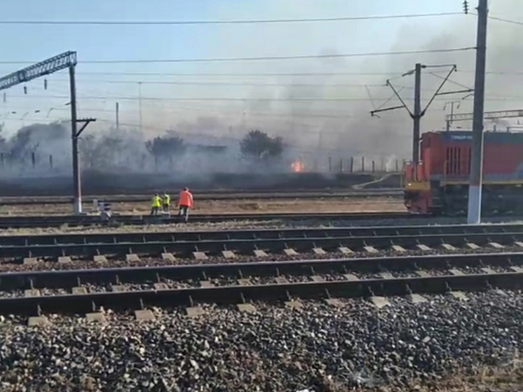 В Воронежской области из-за пожара задержали несколько поездов