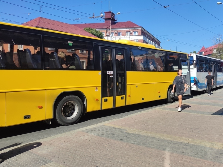 В Калининграде не будет прямого автобуса до Куршской косы