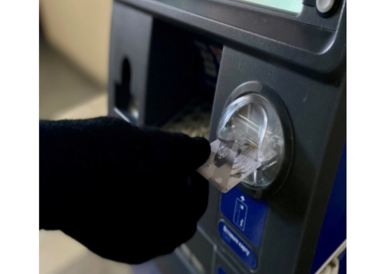 Жительницу Смоленского района обманул мошенник под предлогом продажи поросят