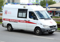 Глава Амурского муниципального района Хабаровского края Павел Боровлев сообщил, что новоизбранный глава села Эльбан Алексей Кысса скончался, не успев вступить в должность после выборов