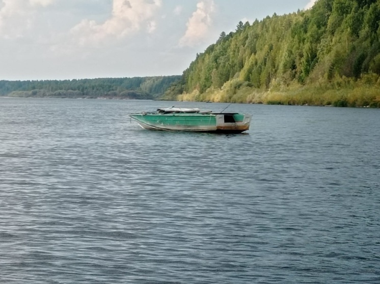 В Шенкурском округе мужчина утонул в реке