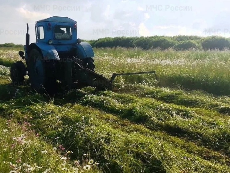 В Приангарье началась подготовка к возможным пожарам 2025 года