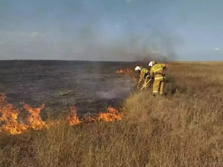 Штормовое предупреждение из-за пожароопасности объявили на Дону