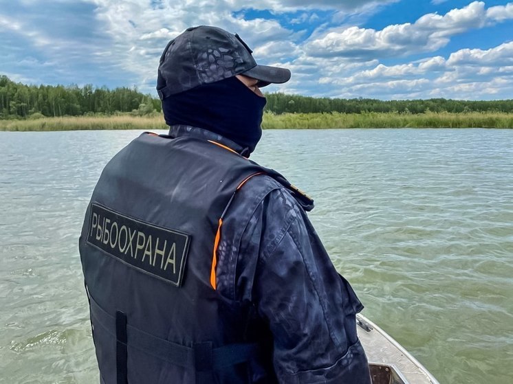 На прошлой неделе инспекторы Росрыболовства изъяли у сахалинских браконьеров 428 кг биоресурсов