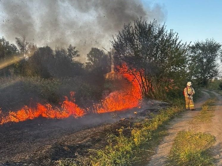 Режим ЧС ввели в двух районах Ростовской области из-за пожаров