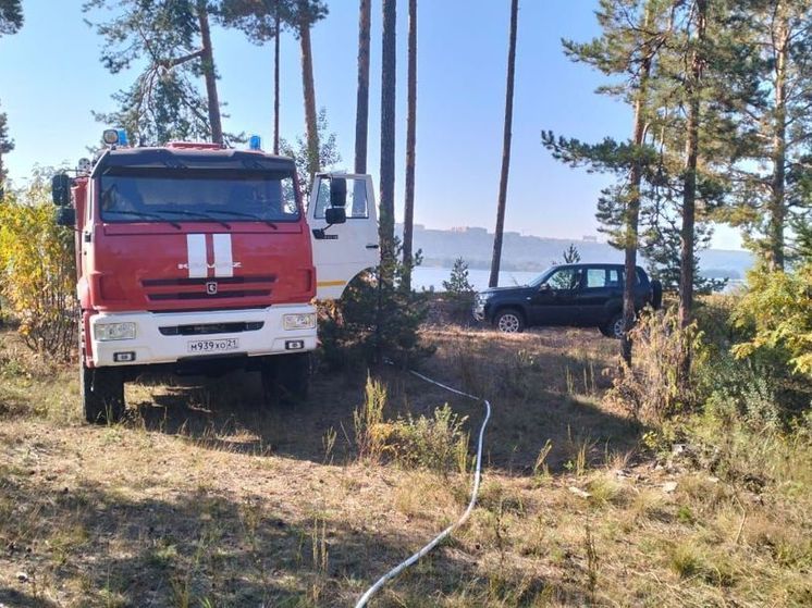 В воскресенье в Заволжье ликвидирован лесной пожар