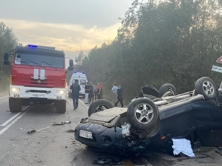 За выходные в ДТП в Ленобласти погибли четыре человека