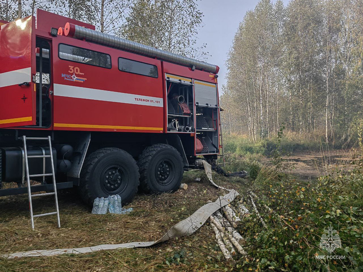 В Камешковском районе тушат ландшафтный пожар