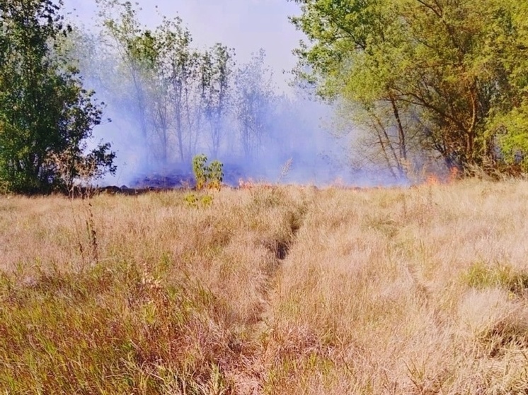 За неделю в Курской области случилось 229 пожаров