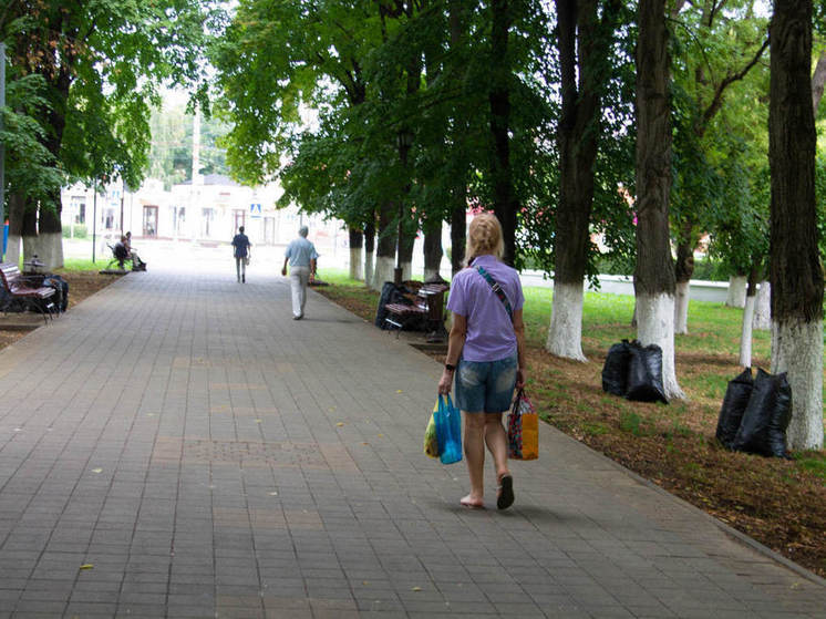 Жители Краснодарского края всё чаще выбирают профессию парикмахера