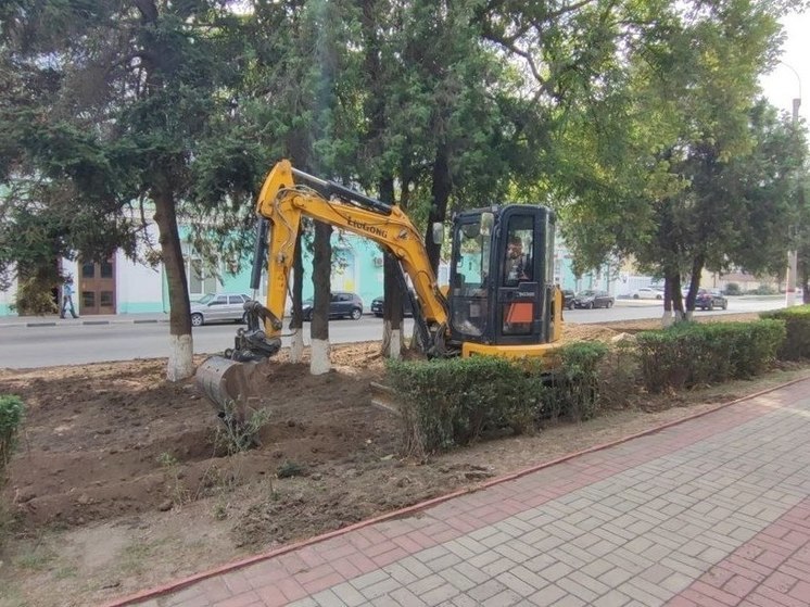 Керченский сквер готовят к капельному поливу