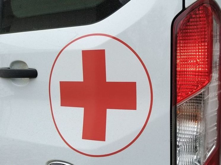 Новгородские врачи начали принимать пациентов в Батецком округе