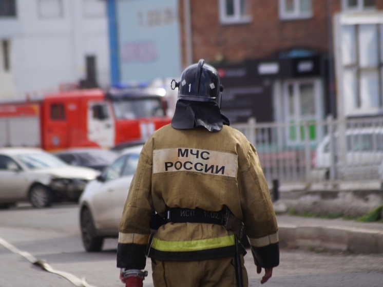 В Красноярске во время пожара умерла женщина