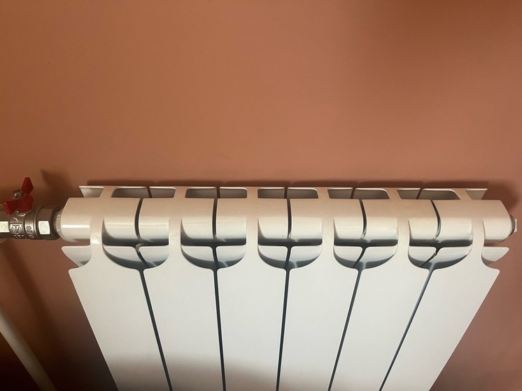 Пушилин выделил территории ДНР, которые отстают в подготовке к отопительному сезону