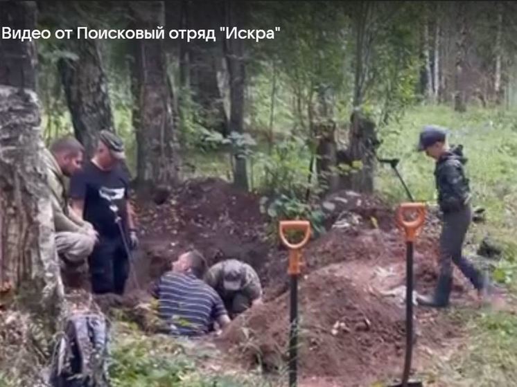 В лесопарке в Гатчине поисковики нашли еще одно массовое захоронение