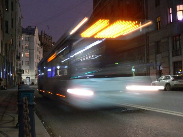 В Петербурге заключили контракт на создание проекта дороги до Арцеуловской аллеи