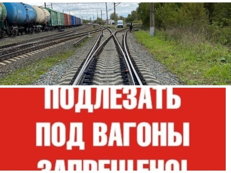 В Новосибирске 39-летнему мужчине отрезало пальцы, когда он залез под поезд