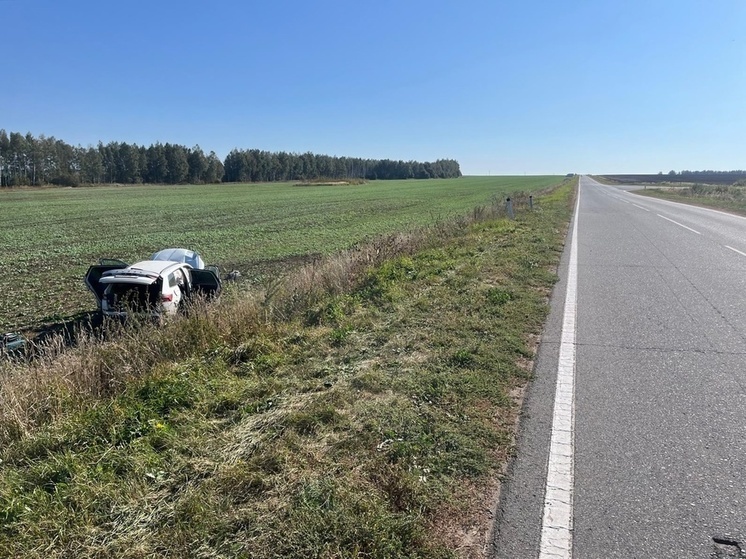 В Орловской области в аварии пострадали четыре человека