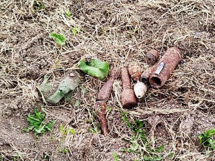 Опасная находка в поле: тракторист заметил боеприпасы времен войны