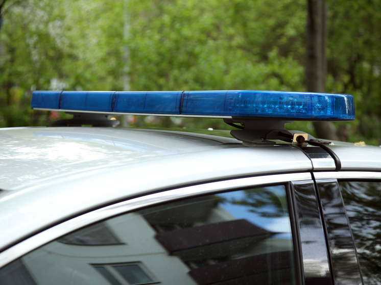 Тело женщины, обглоданное животными, обнаружили в Подмосковье