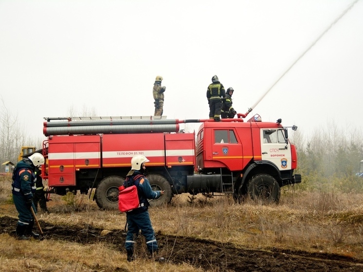 Около областной больницы в Воронеже вспыхнул пожар