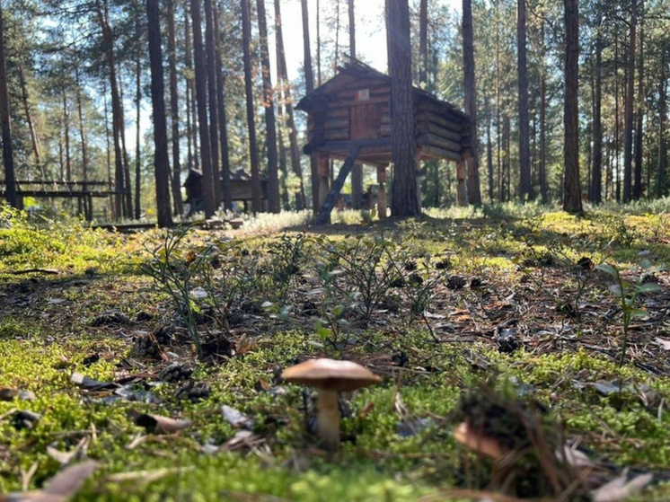 В Югре туристам покажут жизнь на стойбище