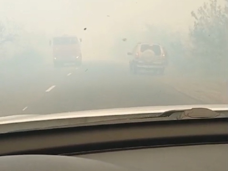 В Донецке пожарным требуется помощь добровольцев в борьбе с ландшафтным пожаром