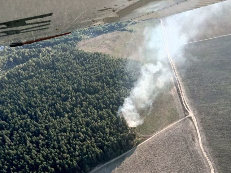 В Раменском округе вспыхнул лесной пожар в 1 км от Копнино