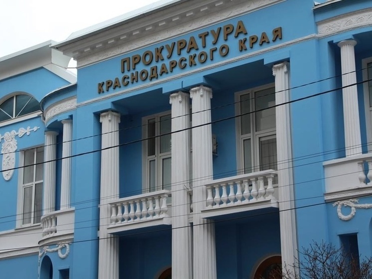 Прокуратура проверила факт нападения собаки на маленького ребенка в Краснодаре