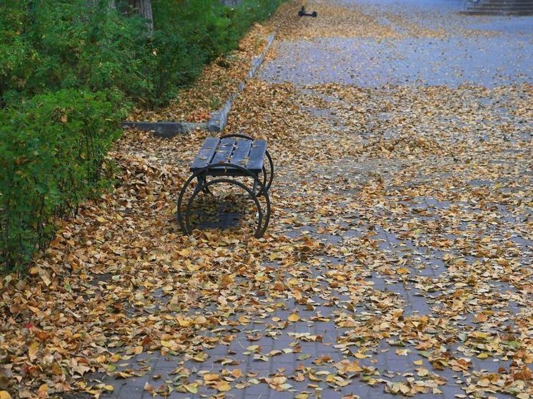 Середина рабочей недели на Южном Урале будет теплой