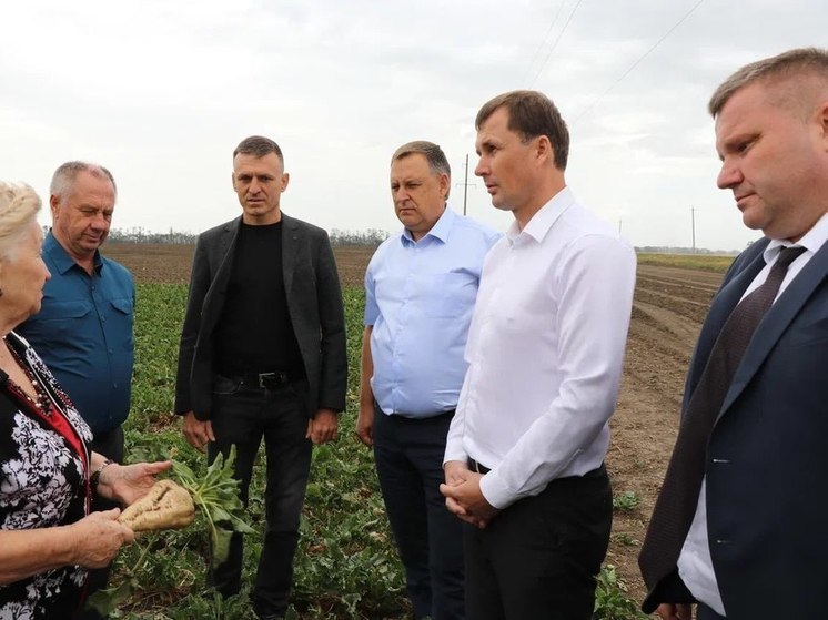 Андрей Коробка: На Кубани получили 60 процентов продовольственного зерна