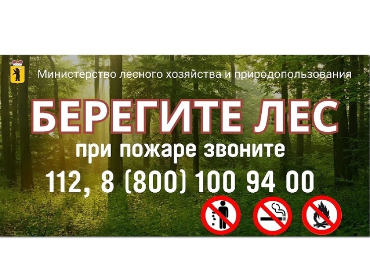 В Ярославской области за сутки произошли два лесных пожара