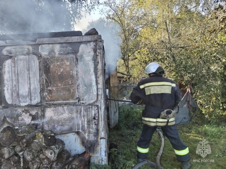 В Орловской области загорелся металлический вагончик