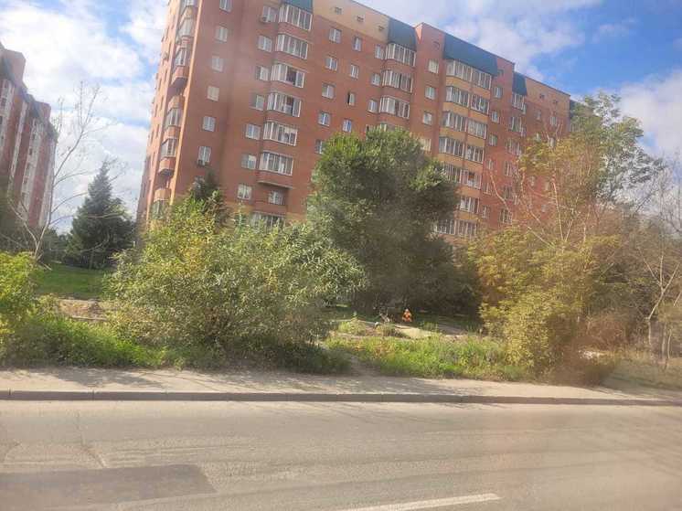 В Новосибирске на МЖК начали благоустраивать скандальный сквер