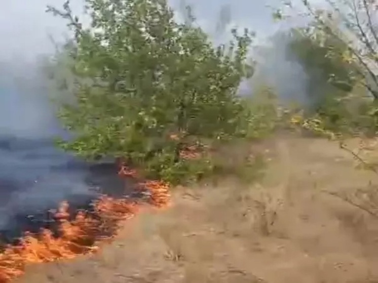 В Донецке крупный ландшафтный пожар подобрался к АЗС и перешел на дом