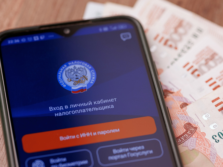 У россиян возникли проблемы с доступом в личный кабинет ФНС