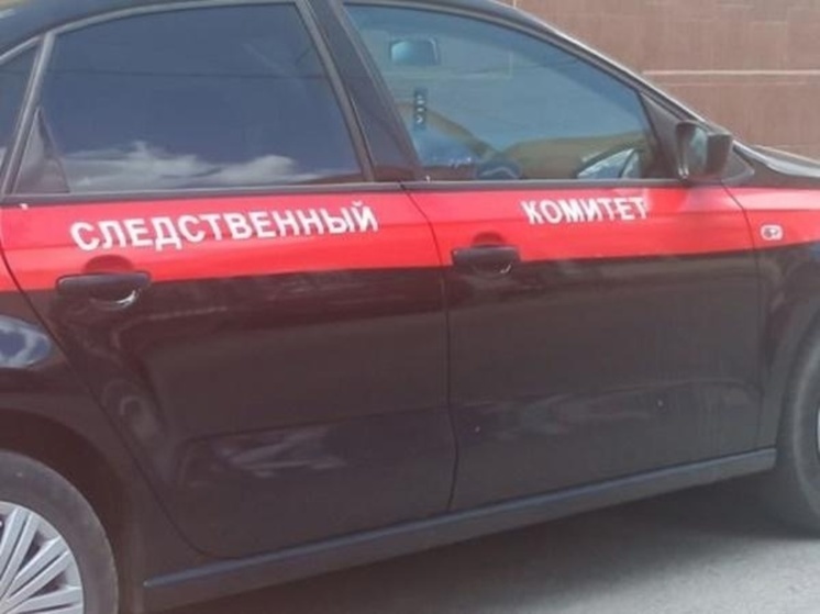 По факту гибели двух инвалидов при пожаре в Азовском районе, следком возбудил уголовное дело