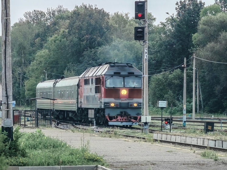 В Новгородской области сошла с рельсов колесная пара локомотива с вагоном