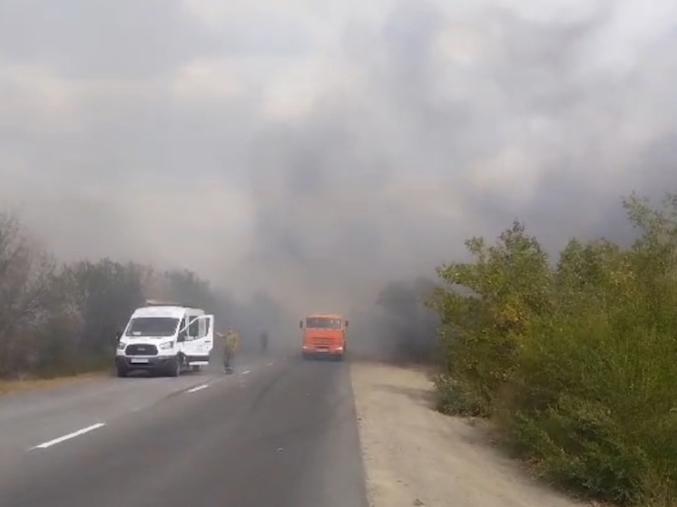 В Донецке Ростовской области удалось ликвидировать крупный ландшафтный пожар