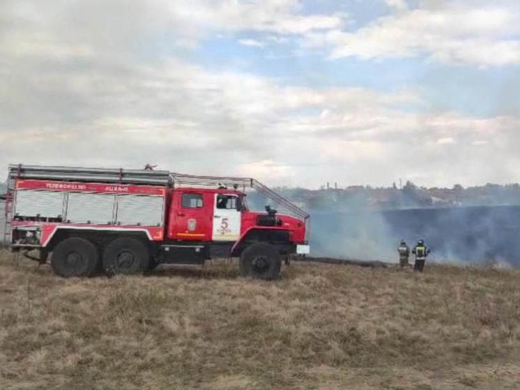 В Курском районе пожарные тушат горящую траву на площади 5 гектаров