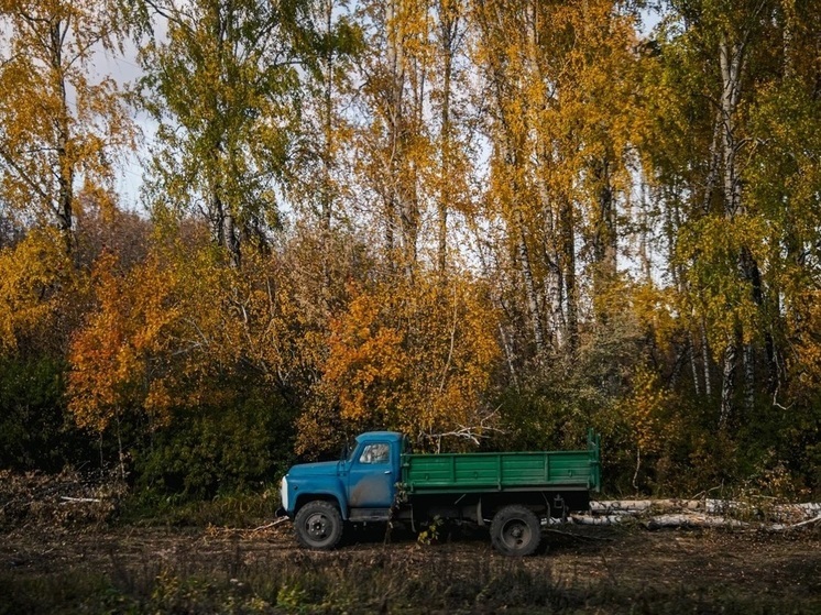 За 3 дня в отряд "ЛизаАлерт" Томск поступило 14 заявок на поиск пропавших людей