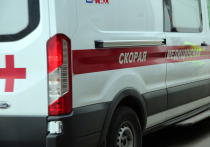 В Шебекинском городском округе Белгородской области украинский дрон атаковал служебный автобус, пострадали 4 мирных жителя, сообщил глава региона Вячеслав Гладков
