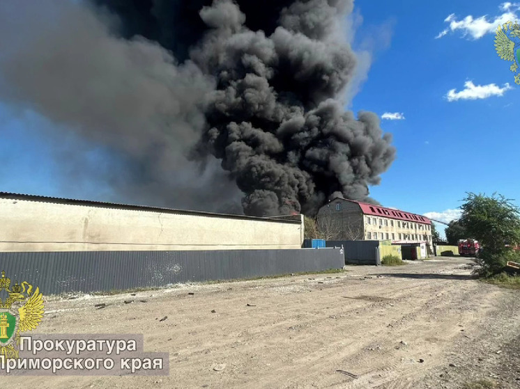 Пожар в районе «Китайского рынка» в Уссурийске собрал десятки пожарных