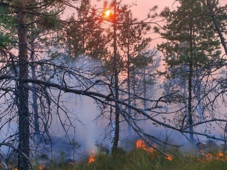 Дым и огонь в лесах: «оранжевый» уровень продлили до 22 сентября