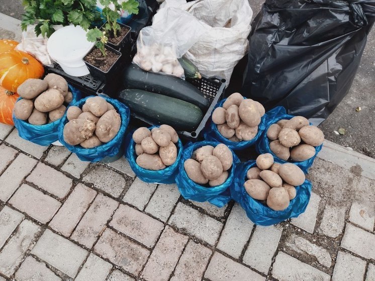 Плохой урожай и взлетевшие цены: картошка в Томске стала "золотой"